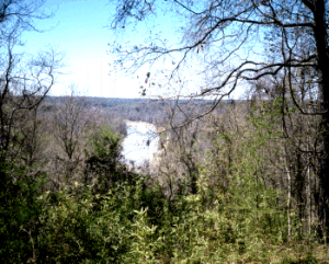 Lookout Point above Bayou Pierre