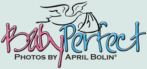 Bbay Perfect logo